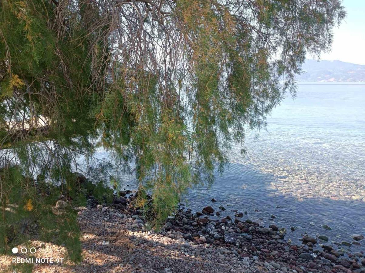 فيلا Almyriki Méthana المظهر الخارجي الصورة