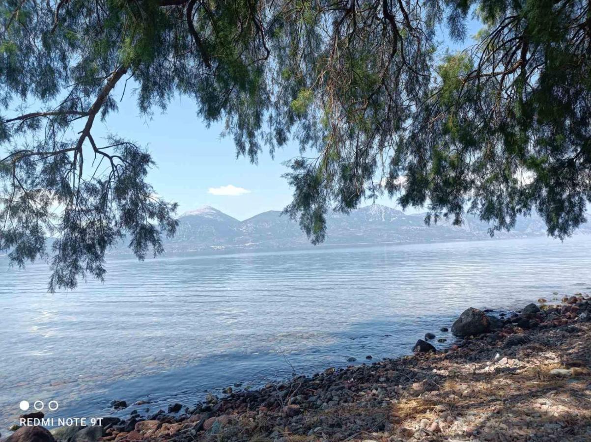 فيلا Almyriki Méthana المظهر الخارجي الصورة